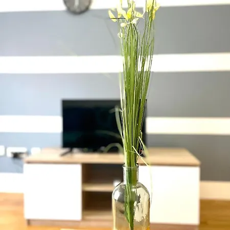 Apartment Naki *